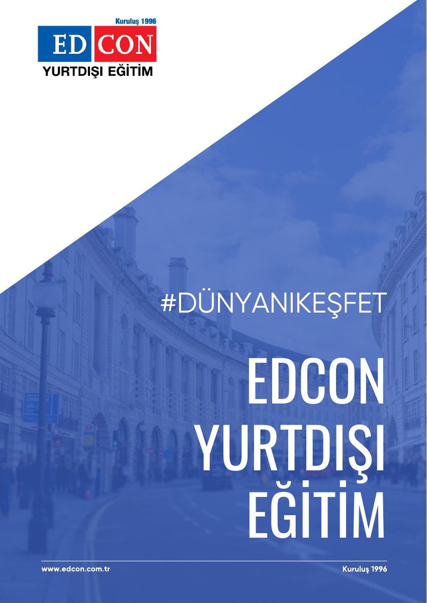 2024 rehberinin kapak görseli; okuyucu yükleniyor