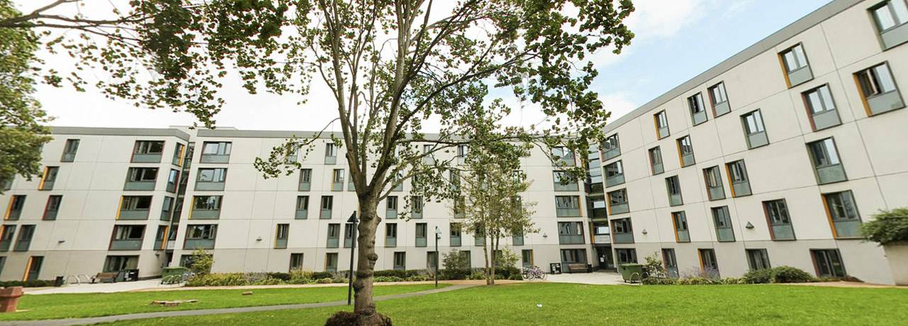 Roehampton University