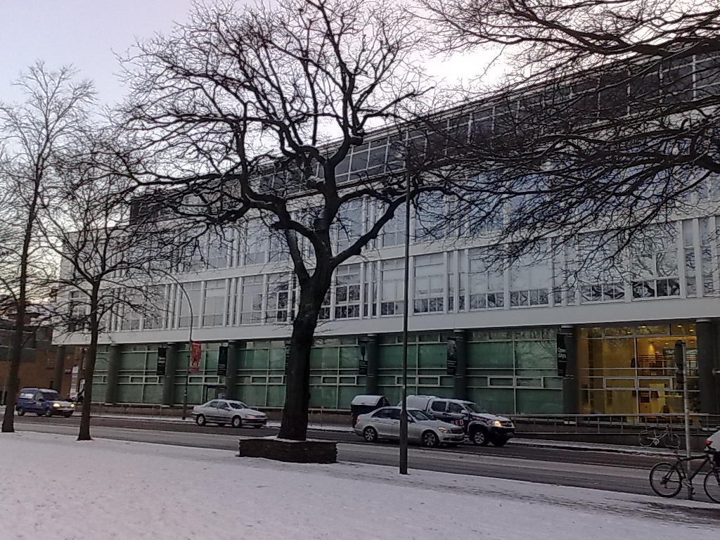 University of Brighton